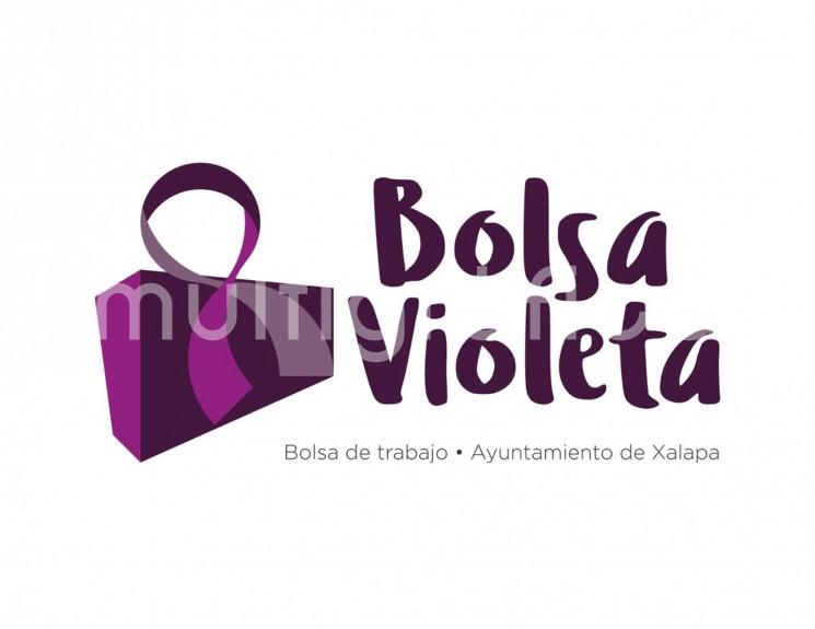 El Ayuntamiento de Xalapa y un grupo de 20 empresas lanzarán el programa Bolsa Violeta, que ofrecerá puestos laborales con horarios flexibles para ella s.

