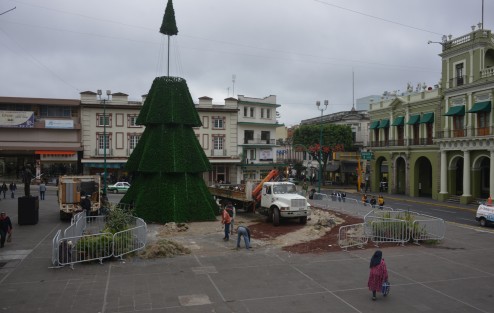 No se espanten... no fueron los saqueadores, lo que pasa es que culminó la temporada navideña y ya se está retirando el árbol y el nacimiento de la Plaza Lerdo de Xalapa. 