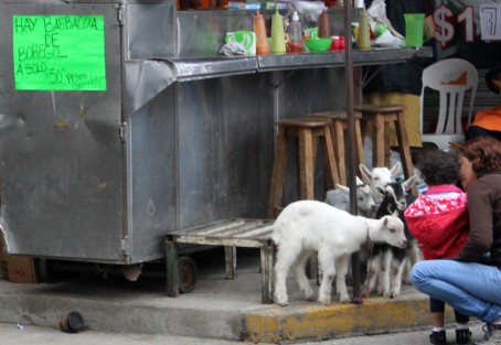 Barbacoa fresca.  