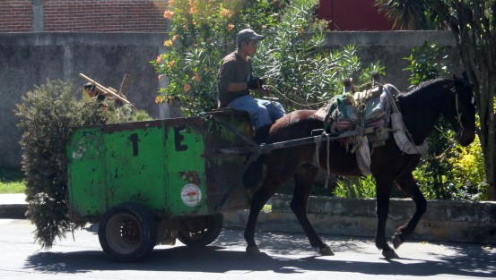 Pese al exhorto de las autoridades municipales, estatales y federales, todavía hay muchos que dejan en manos de otros el reciclaje de su Navidad. 