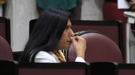 El Congreso de Veracruz aprobó el Punto de Acuerdo presentado inicialmente por la coordinadora de la fracción parlamentaria del PRD, Yazmín de los Ángeles Copete Zapot, para que se transparente la situación financiera del IPE. 