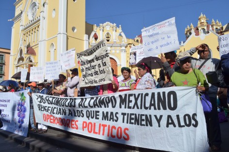 Integrantes de la organización Racimos arribaron esta mañana a Plaza Lerdo para pedir audiencia con el nuevo gobierno y hacer efectivos los apoyos de los que han sido beneficiados en otros tiempos y que gobiernos anteriores adeudan a los campesinos. 