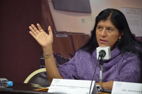 Los perredistas exigen se castigue a los responsables de este crimen de lesa humanidad.