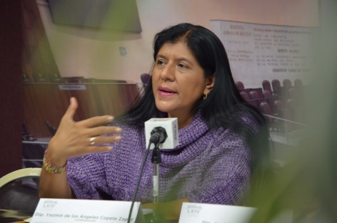 El diputado perredista José Kirsch y la diputada Yazmín Copete, en conferencia de prensa expresaron su reclamo de justicia contra quienes cometieron la anomalía de aplicar productos alerados como medicamentos a enfermos de cáncer  durante la pasada administraación.  