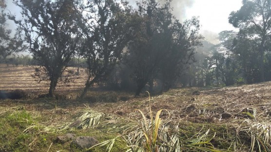 n la congregación de Los Ángeles en Amatlán de los Reyes, tiene cinco días el incendio en el río tras el derrame de combustible registrado después de que una toma clandestina presentara una fuga,  ninguna autoridad se ha presentado para controlar la fuga y el incendio.