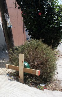 Y hace un mes era el centro del hogar. 