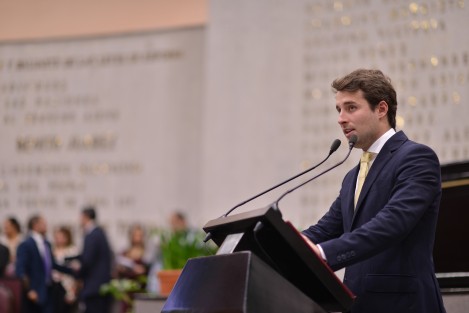 Diputado Bingen Rementeria Molina. 