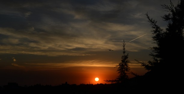 La Surada favorecerá un viernes y sábado muy cálidos con temperaturas máximas mayores a 33°C en zonas de llanura y costa de nuestra entidad y sin descartar extremos cercanos a los 40°C en la zona norte y sur; mientras que entre Xalapa y Orizaba de 29 a 33°C. 