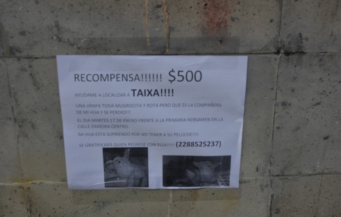 Más desaparecidos... Taixa, una jirafita de peluche se extravió en la semana que termina, la mamá de la desconsolada propietaria tapizó el centro de Xalapa para ver si alguien la encontró... ¿cuántos más?