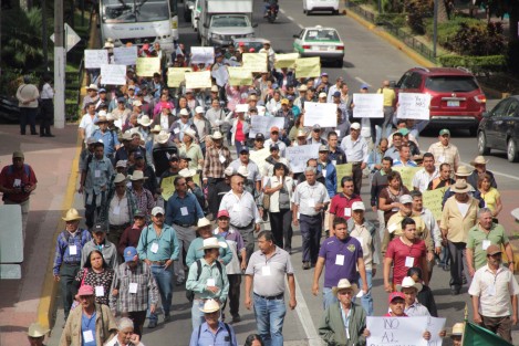 Cafetaleros se manifiestan en las calles de Xalapa para protestar en contra del gasolinazo y las importaciones de café proveniente de Honduras.  