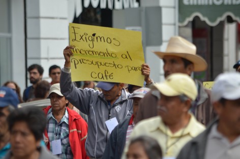 Marchando por las  calles de Xalapa, los cafeticultores se quejaron de la falta de apoyo a ese sector agroproductivo.  