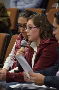 Diputada Tanya Carola Viveros. 