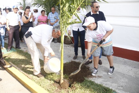 Integrantes de la fundación <em>Por Una Ciudad Amigable</em> y de la fundación ecologísta <em>Chalchi</em>, realizaron la siembra de 50 palmeras Kerpi sobre la avenida Xicoténcatl como parte de la campaña de reforestación del centro histórico de la ciudad de Veracruz. 