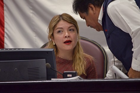 Regina Vázquez, no acudió al relevo en la dirigencia estatal del PRI. 