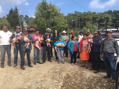 La Licenciada Nadia Jazmín Hoyos,  a nombre de la Asociación Todos por Acajete, hizo entrega de cerditos a familias de escasos recursos de esa localidad, con el fin de apoyarlos a mejorar su economía.