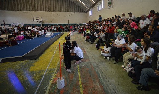 Con la presencia de la de la directora del IVD, Ángeles Ortiz, el Club de Gimnasia Central Gym Xalapa,  la Asociación Veracruzana de Gimnasia y el H. Ayuntamiento de Xalapa de Enríquez, se lleva a cabo la <em>1era Copa Central Gym Xalapa</em>. 