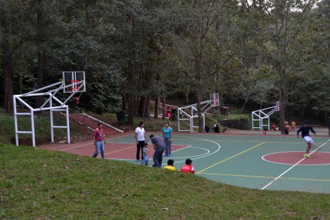 Aunque  le faltan algunos detalles, el parque de El Haya ya luce complematemente diferente con la más reciente remodelación.  Según trabajadores del lugar ya pronto serán concluidos los trabajos, como la colocación de los aros en las canchas y detalles de pintura. Lo cierto es que el lugar recobró la vida después de varios años de abandono.