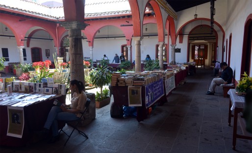 En el Centro Recreativo Xalapeño, esta semana además de poder disfrutar de exposiciones fotográficas, usted puede acudir a comprar libros de todo tipo y apoyar la economía local. Pero apúrele que hoy jueves 9 es el último día. 
