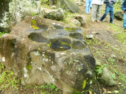 Turismo rural prepara recorridos guiados en Piedra Pinta,  municipio de Tlapacoyan.