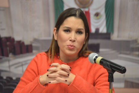 La comisionada del INAI, Ximena Puente de la Mora, expresó que es necesario que se castigue al responsable de la filtración a medios de la imagen del ex secretario de Seguridad Pública al momento de ser ingresado al penal de Pacho Viejo, ya que con ello seviolentaron los datos personales.
