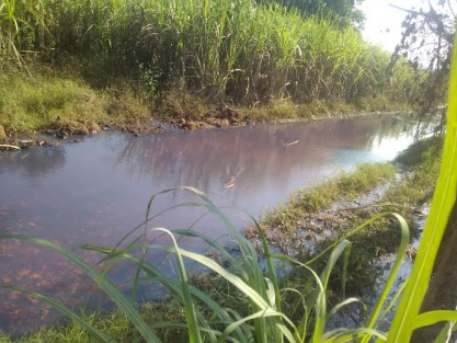 Habitantes del Barrio Guadalupe en Cuichapa, Ver. solicitaron la presencia de Protección Civil al detectar fuerte olor a combustible el cual provenía de una fuga de una toma clandestina, por lo que se solicitó el apoyo a personal de Pemex. 