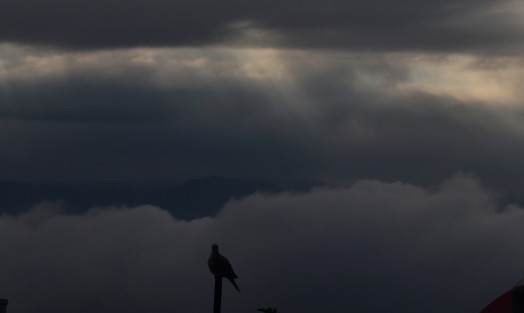 Próximos tres días se espera ambiente cálido y limitadas condiciones para lluvia. Probabilidad de un evento de Surada especialmente en la costa norte y región de Orizaba. En partes altas de zonas serranas se prevén noches y madrugadas frías a frescas