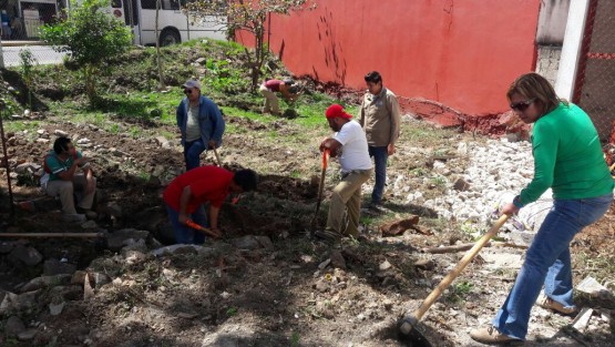 Este jueves se dio inicio al programa de huertos comunitarios en la delegación Este de Xalapa, con el cual  se beneficiarán 32 familias con 8 huertos de 4 metros cuadrados. 