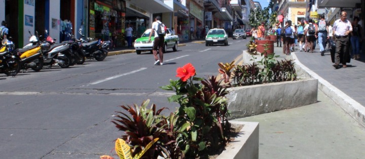 Sin respeto todavía a las zonas peatonales en Xalapa.Quien así lo desee, puede mover los macetones en la calle de Lucio, y ni quien diga nada. 