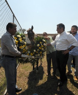En la segunda etapa del programa de sustitución de caballos recolectores por motocarros, el alcalde Américo Zúñiga Martínez hizo entrega de 14 vehículos más, que permitirán la jubilación del mismo número de animales, los cuales serán puestos en adopción para garantizar su descanso. 
