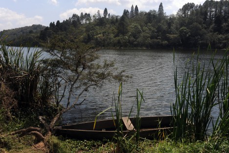 Ejidatarios, el ayuntamiento de Xalapa, la Comisión Municipal de Agua Potable y Saneamiento de Xalapa (CMAS) y el Instituto de Ecología A.C. (INECOL), tuvieron a bien hacer trabajos de campo e investigación para  la limpieza y saneamiento de la laguna de El Castillo.