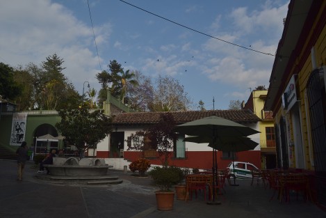 La ciudad de Xalapa tiene sitios dignos de visitar y recorrer como sus galerías llenas de arte y sus calles llenas de colores y sabores.
