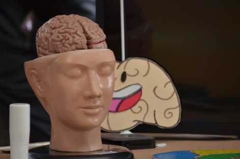 Fue inaugurada en la USBI la Semana mundial del cerebro en su décima edición y donde homenajearon al extinto Adalberto Fox quien fue un gran impulsor de la ciencia y la cultura en la Universidad Veracruzana.