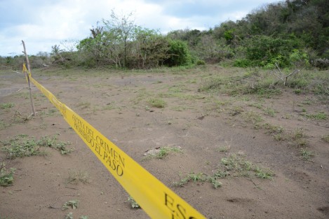 El fiscal general del estado de Veracruz, Jorge Winckler Ortiz, realizó un recorrido por un predio donde presuntamente se localizan algunas fotos clandestinas.El funcionario estuvo acompañado por integrantes del colectivo Solecito Veracruzano.