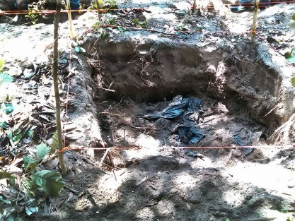 Autoridades ministeriales y de la Secretaría de Marina llevaron a cabo la presunta exhumación de al menos siete cadáveres enterrados en diversas fosas ubicadas en un predio denominado Los Cocos, en la localidad de Arbolillo, Alvarado.  