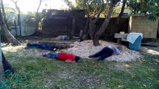 Cinco personas fueron ultimadas a balazos y una más resultó lesionada la tarde de este viernes en la colonia Adolfo López Mateos de Coatzacoalcos. 