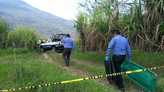 El cuerpo sin vida de un sujeto fue localizado la mañana de este sábado entre unos cañales ubicados en la congregación Villa Libertad, en los límites con La Patrona. El cuerpo corresponde a una persona del sexo masculino de entre 27 o 30 años. 