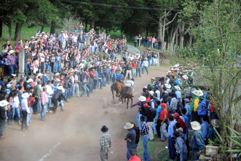 Como cada año se llevaron a cabo los festejos en honor a San José en el municipio de Mihuatlán, con juegos pirotécnicos, baile, carreras de caballos y misas en honor a su santo. Los habitantes de este lugar celebran por varios días a su santo patrón.