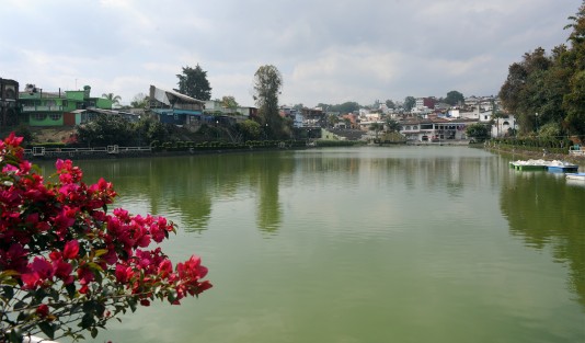 Llegó a Xalapa la primavera, y con ella los coloridos paisajes de los distintos paseos con los que cuenta esta ciudad, aquí el Paseo de los Lagos. 


