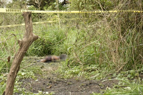 Una mujer de entre 25 y 30 años fue hallada muerta y en estado de putrefacción entre la maleza del camino vecinal que conduce del fraccionamiento Oasis a la localidad de Tejeria. 