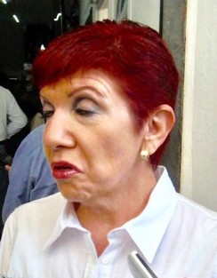 Gina Domínguez Colío aseguró que no se pagó a ninguna empresa fantasma, los pagos los hacía SEFIPLAN, en Comunicación Social sólo se pagaban sus sueldos, y se tomaban su té. 
