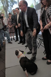 El secretario de Salud en Veracruz, Irán Suárez Villa, informó que fueron 200 personas las que atendieron los servicios de Salud, debido a intoxicación masiva en Mecatlán, durante un evento político, las cuales ya se encuentran en sus domicilios, salvo dos que siguen recibiendo soluciones en el hospital de Llano de Enmedio. 