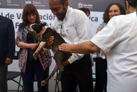 Boss fue el elegido para recibir la primera dosis de vacuna antirrábica, del millón 200 mil que hay disponibles en  el estado de Veracruz. 
