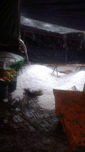 Una intensa lluvia y granizo afectó esta tarde a por lo menos cinco municipios ubicados en la Región Montañosa Central; en Coscomatepec el fenómeno natural provocó pérdidas económicas a decenas de comerciantes que como cada lunes realizan vendimias en el tianguis del primer cuadro de la ciudad.

