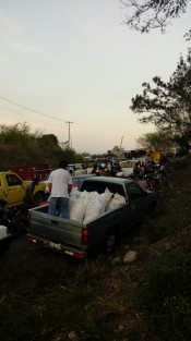 75 toneladas de azúcar que fueron saqueadas de un tráiler volcado en Paso delMacho,Ver.,  podrían estar contaminadas debido a que era mascabado que requiere de más procesos; además fue levantada de un potrero donde pastorean ganado, advirtió gerente de la empresa Central Progreso. 