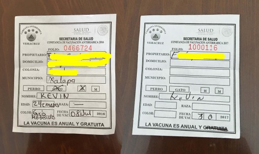 A la izquierda, un comprobante de vacunación antirrábica de 2016; a la derecha uno entregado en la presente campaña, donde el gratuito se le intentó ocultar. Esto debido a que los llamados voluntarios que realizan este trabajo, a decir de uno de ellos, no reciben compensación alguna. 