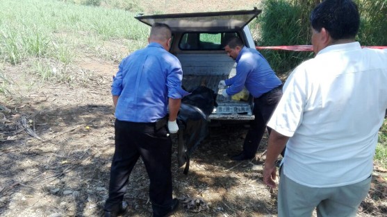 El cuerpo sin vida y mutilado de un taxista de Córdoba, fue hallado este sábado entre unos cañales de la localidad de La Pochota, municipio de Amatlán. De acuerdo a informes preliminares, el hombre presentaba la amputación de ambas manos. 
