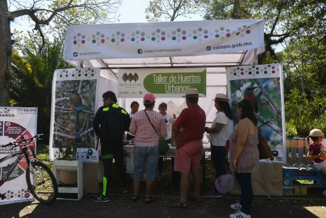Se instalaron varios módulos donde se puede aprender primeros auxilios, sembrar plantas y los más pequeños pueden colorear y fabricar  títeres.
