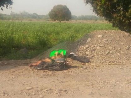 Los cuerpos decapitados y con las manos cercenadas, de un hombre y una mujer de entre 25 y 30 años  fueron encontrados esta mañana de miércoles   en un  camino de terracería que comunica a las comunidades Hornitos-Santa Rosa, municipio de Actopan. 