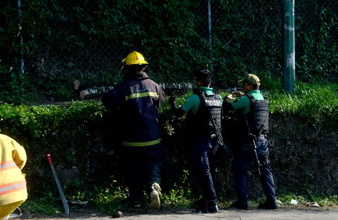 Debido a los fuertes vientos que se sienten esta tarde en la ciudad de Xalapa, un árbol de aproximadamente 4 metros cayó en la calle Chilpancingo de la colonia Progreso, por fortuna solo hubo daños materiales.