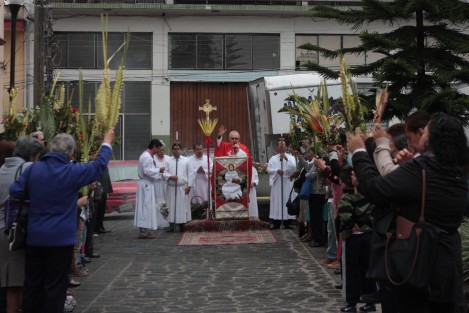 En los variados templos cristianos del mundo se recuerda este domingo la entrada de Jesús a Jerusalem, para iniciar con ello la Semana Santa.  El Papa Francisco hizo en el  Vaticano a seguir a Jesús no de palabra, sino con los hechos, y de llevar nuestra cruz con paciencia, no rechazarla, ni deshacerse de ella, sino que, mirándolo a Él, aceptarla y llevarla día a día. 